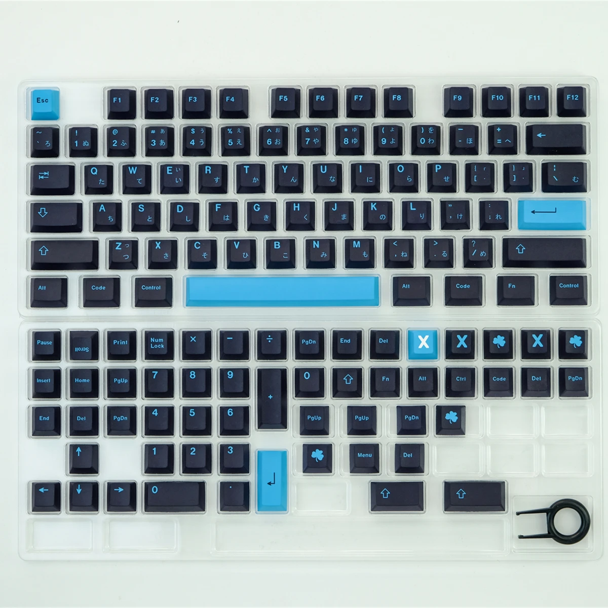 blue-black